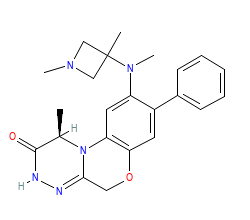 2D structure of the orthosteric ligand