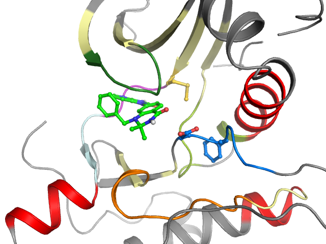 The orthosteric binding pocket