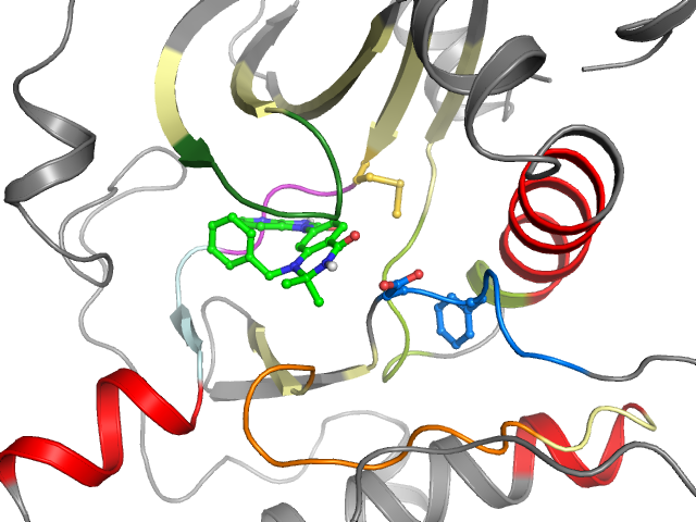 The orthosteric binding pocket