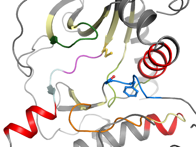 The orthosteric binding pocket
