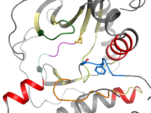 The orthosteric binding pocket