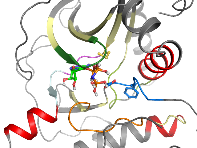 The orthosteric binding pocket