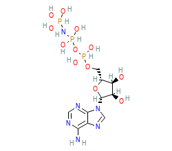 2D structure of the orthosteric ligand