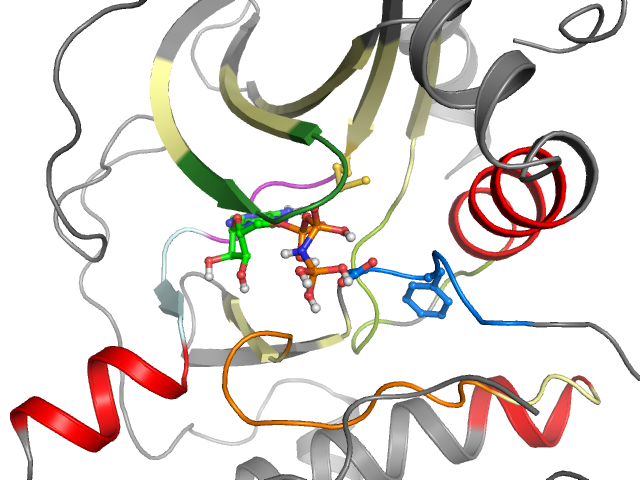 The orthosteric binding pocket