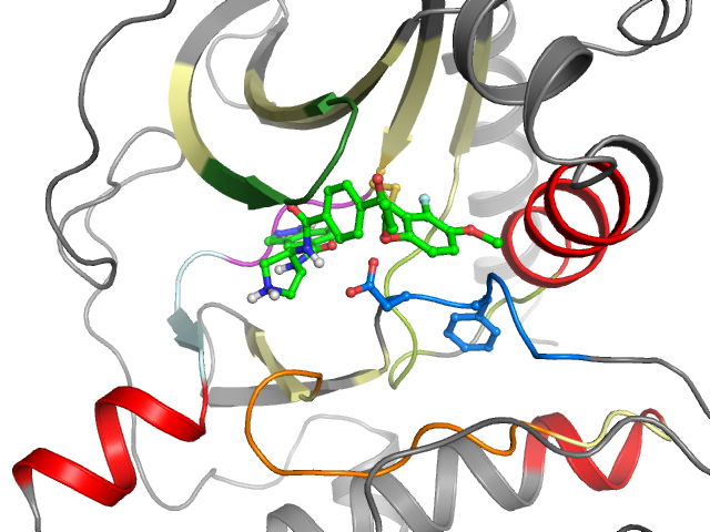 The orthosteric binding pocket