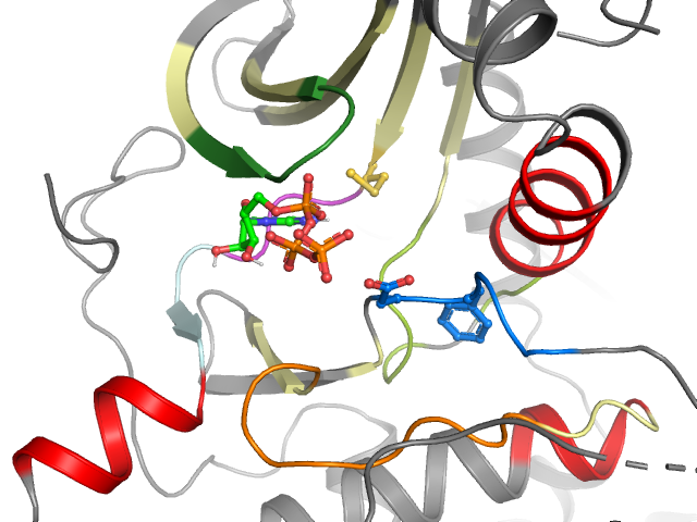 The orthosteric binding pocket