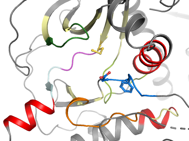 The orthosteric binding pocket