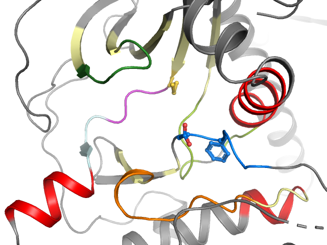 The orthosteric binding pocket