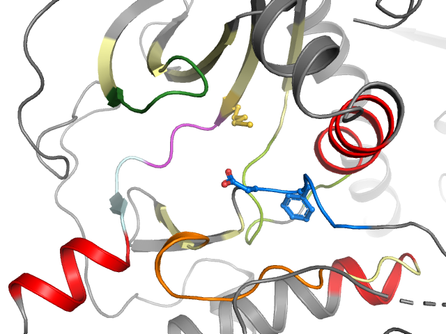 The orthosteric binding pocket