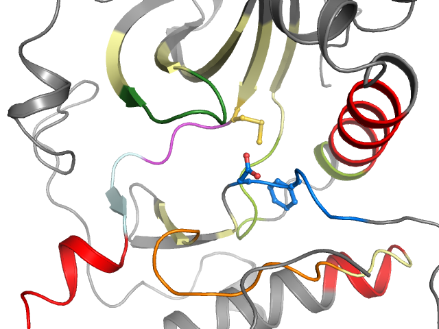 The orthosteric binding pocket