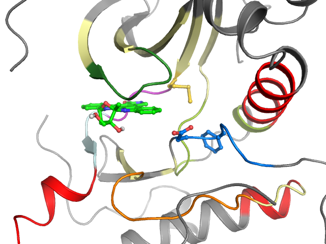 The orthosteric binding pocket