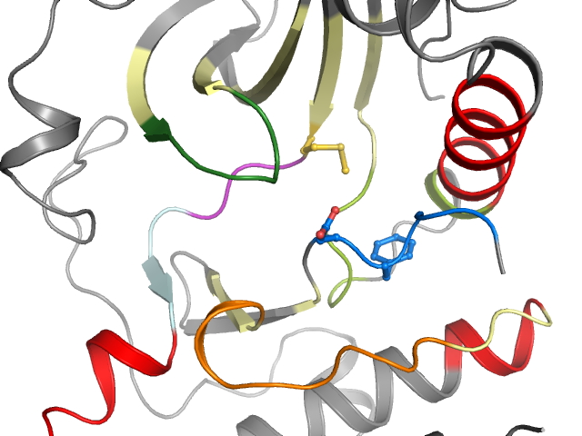 The orthosteric binding pocket
