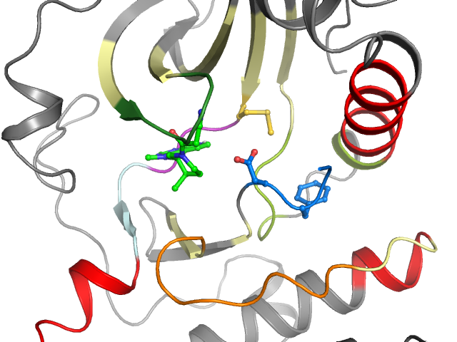 The orthosteric binding pocket