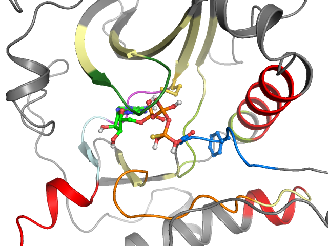 The orthosteric binding pocket