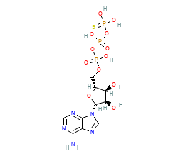 2D structure of the orthosteric ligand