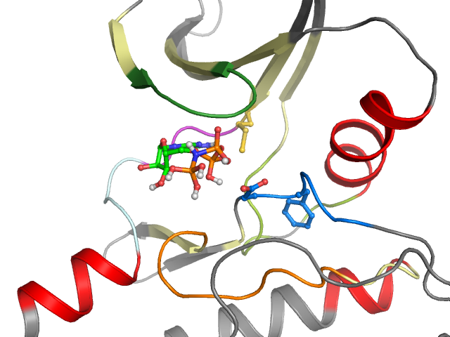 The orthosteric binding pocket