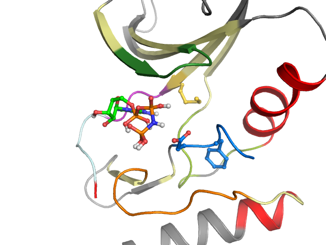 The orthosteric binding pocket