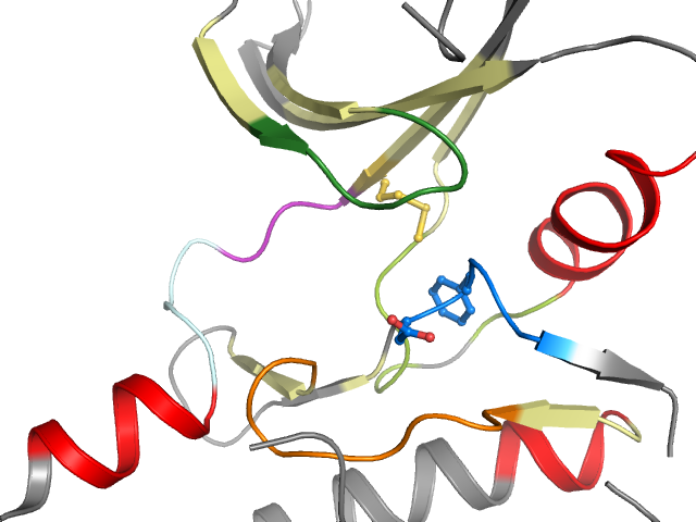 The orthosteric binding pocket
