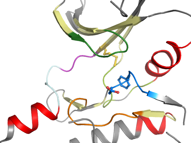 The orthosteric binding pocket