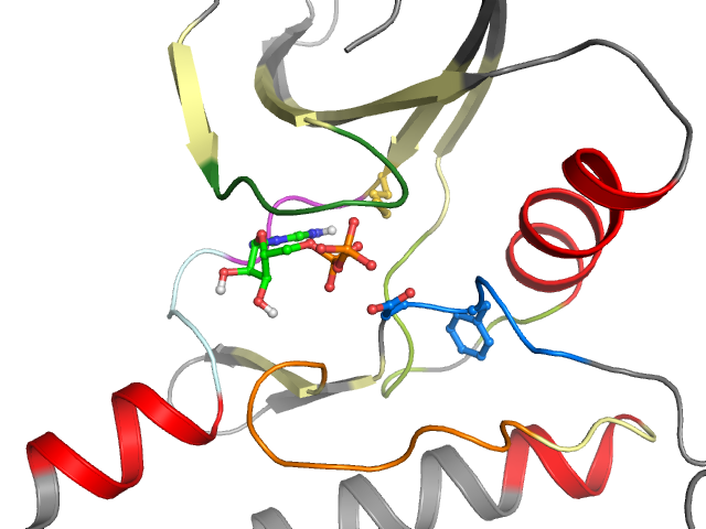 The orthosteric binding pocket