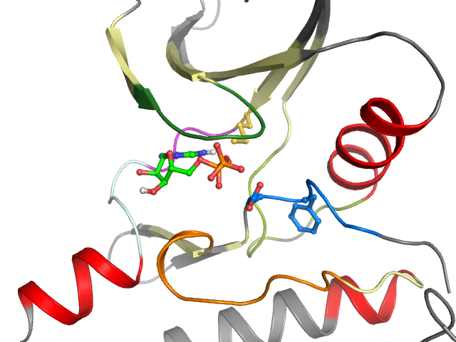 The orthosteric binding pocket