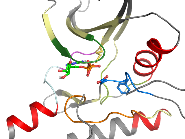The orthosteric binding pocket