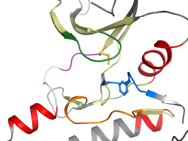 The orthosteric binding pocket