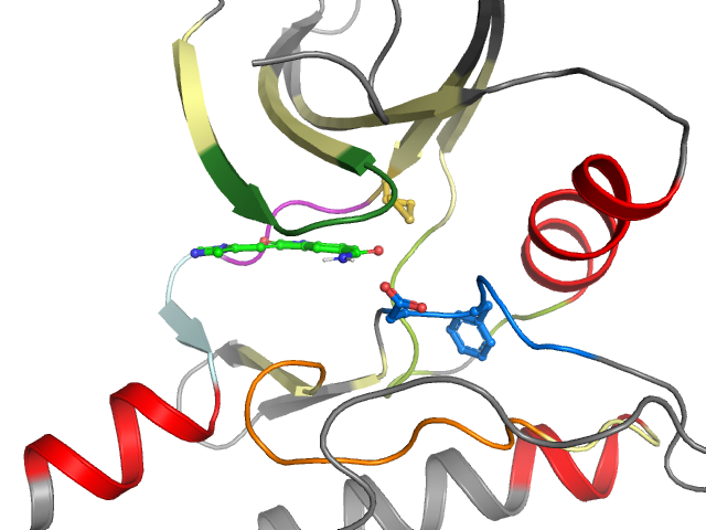 The orthosteric binding pocket