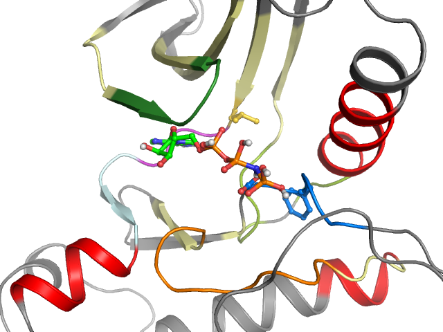 The orthosteric binding pocket