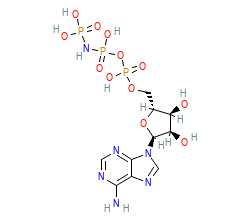2D structure of the orthosteric ligand