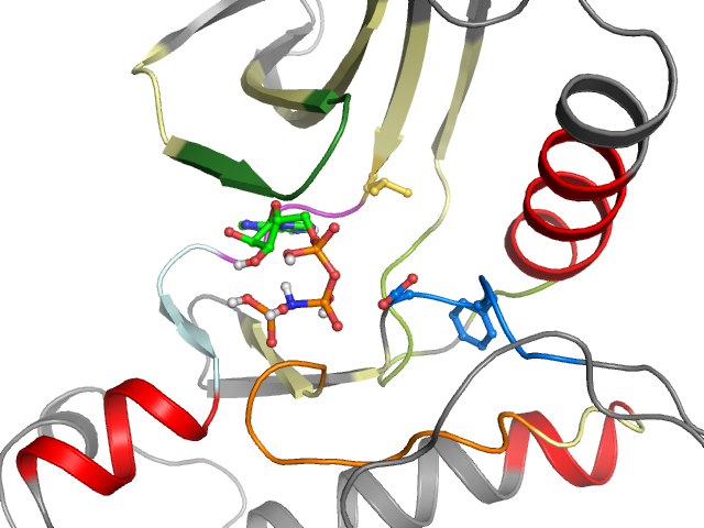 The orthosteric binding pocket