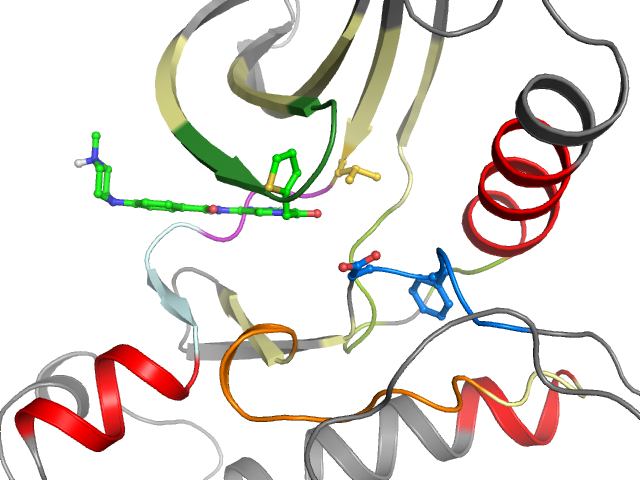 The orthosteric binding pocket