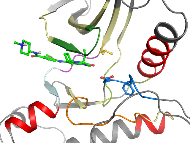 The orthosteric binding pocket