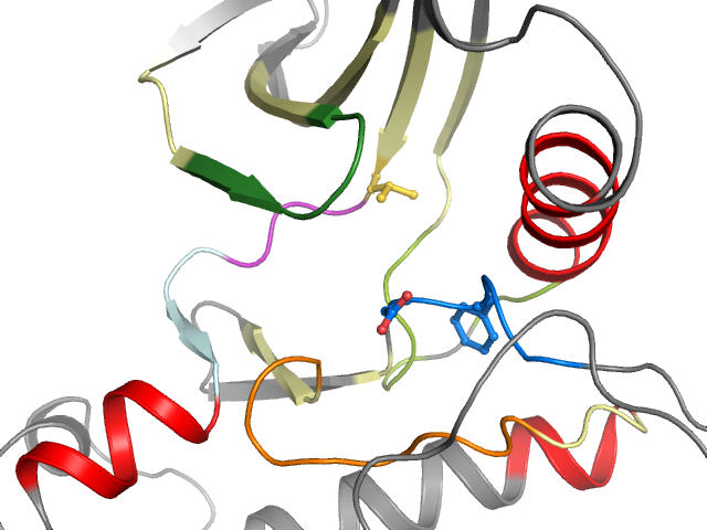 The orthosteric binding pocket