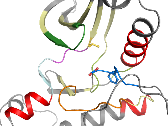 The orthosteric binding pocket