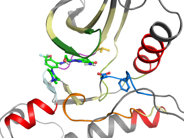 The orthosteric binding pocket
