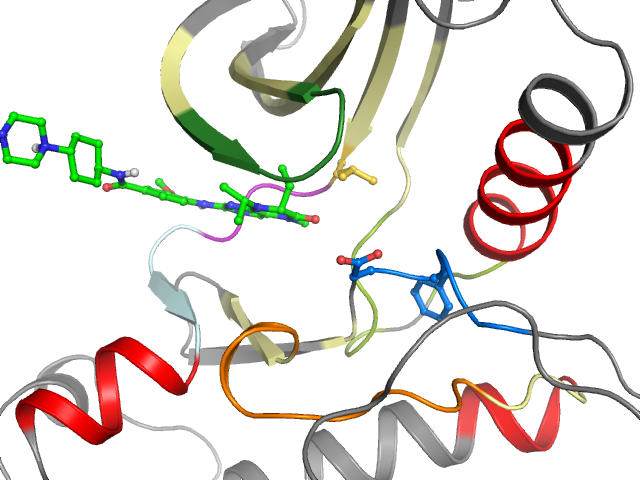 The orthosteric binding pocket
