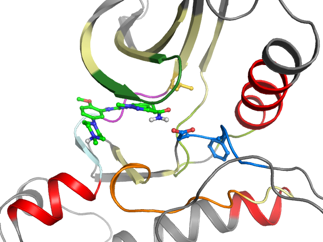 The orthosteric binding pocket