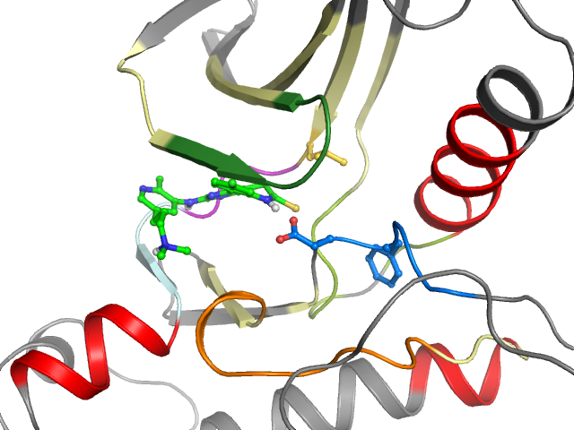 The orthosteric binding pocket