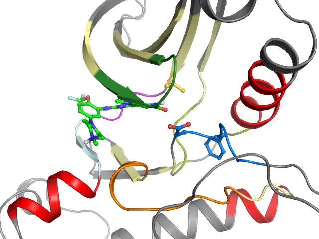 The orthosteric binding pocket
