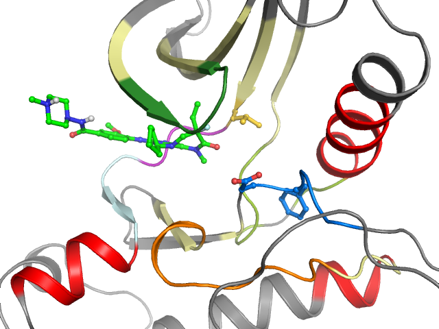 The orthosteric binding pocket