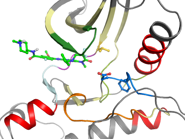 The orthosteric binding pocket