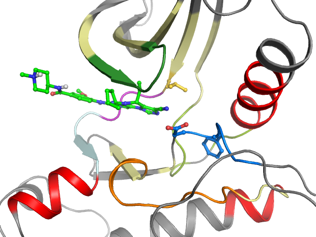 The orthosteric binding pocket