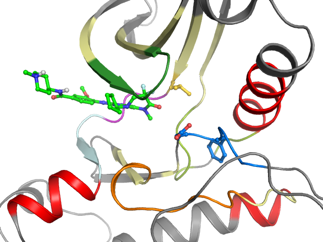 The orthosteric binding pocket