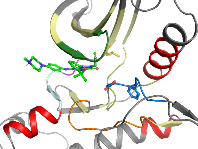 The orthosteric binding pocket