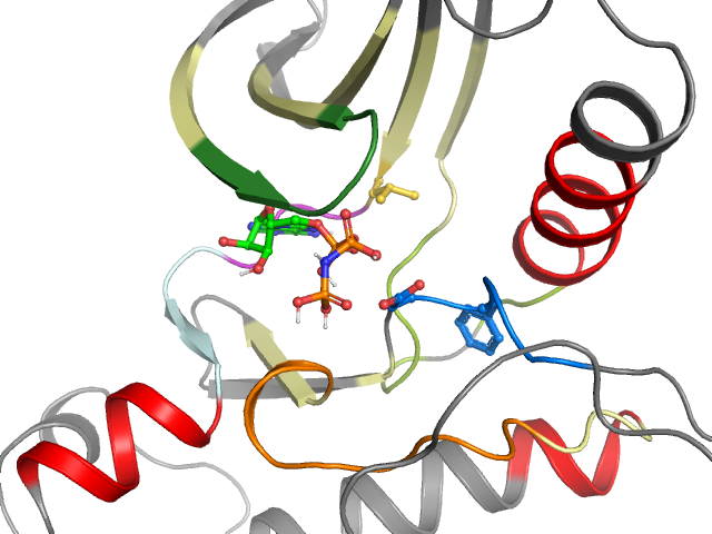 The orthosteric binding pocket