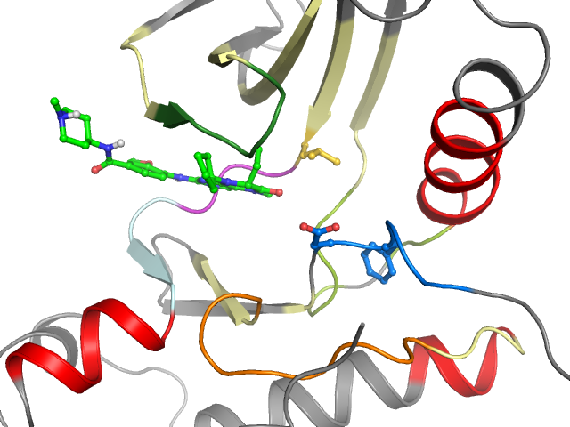 The orthosteric binding pocket