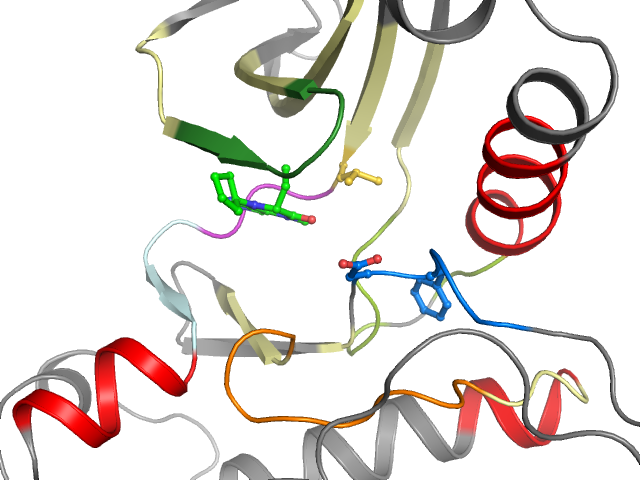 The orthosteric binding pocket