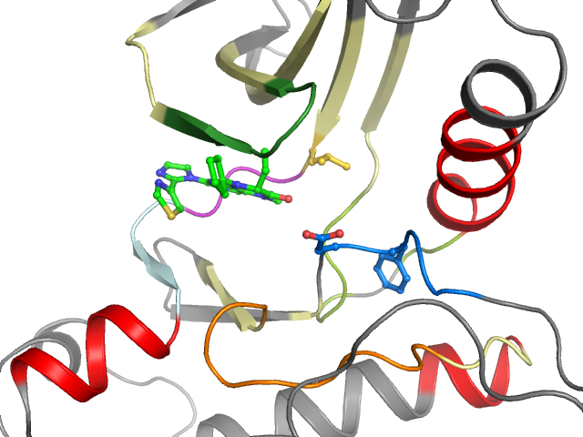The orthosteric binding pocket