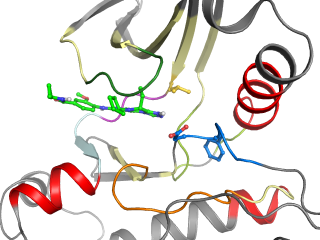 The orthosteric binding pocket